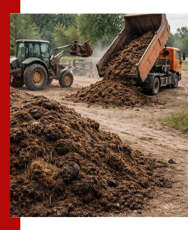 Доставка навоза самосвалами в Владимире для сельхозпотребностей