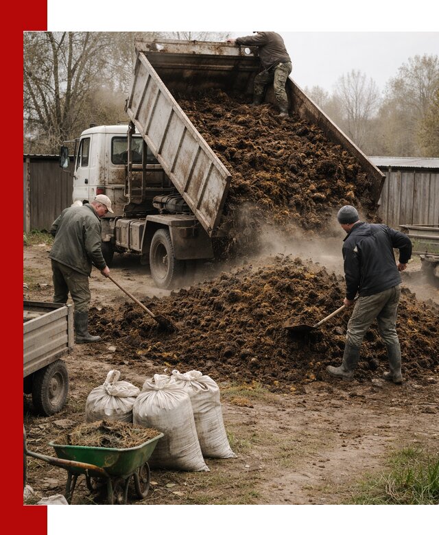 Доставка коровьего навоза самосвалом в Владимире